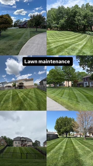 Our Process